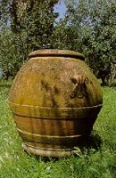 orcio2